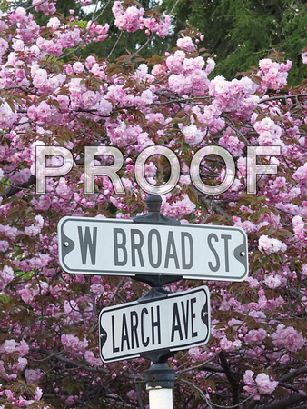 Spring 2013 W. Broad At at Larch Ave