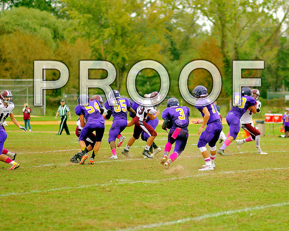 Park Ridge #6